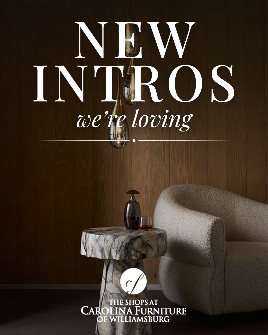 New intros we're loving, from The Shops at Carolina Furniture of Williamsburg